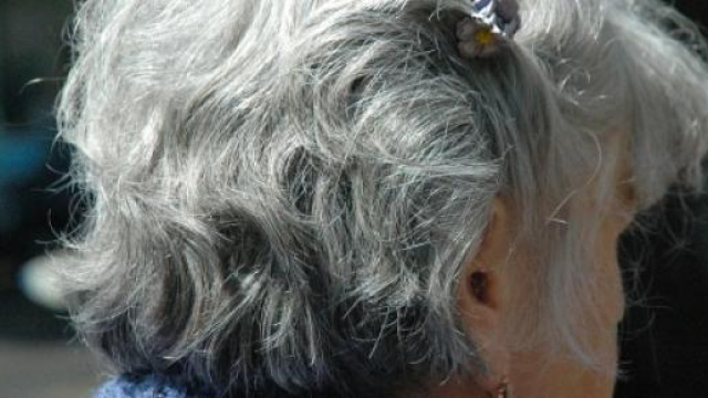Pensioni info al 19/6 su sindacati e protesta Inps