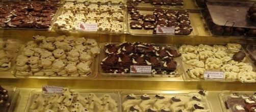 Chocolateria barilochense. PH: flickr EJ&EZ 