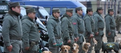 Gendarmes del operativo "Escudo Norte"