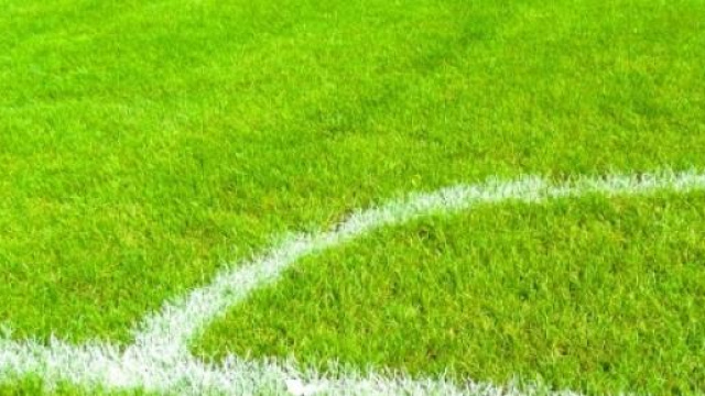 La prima giornata della Ligue 1 2015-2016