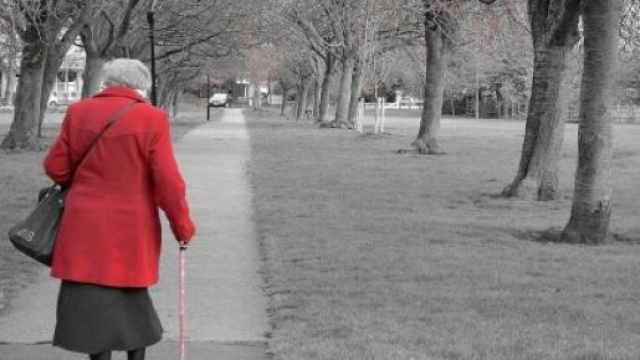 Riforma pensioni, ultime al 20 giugno su over 55