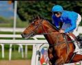 Have we seen the English 2016 2000 Guineas winner? (Part I)