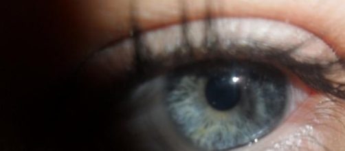 Las diferencias de visi&oacute;n est&aacute;n dadas por el sexo