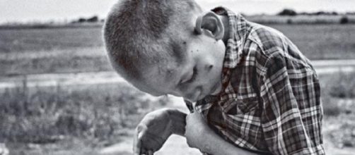 Los agroqu&iacute;micos afectan notablemente la salud