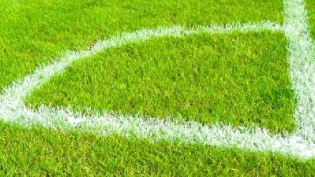 Coppa America: Bolivia-Per&ugrave; formazioni pronostico