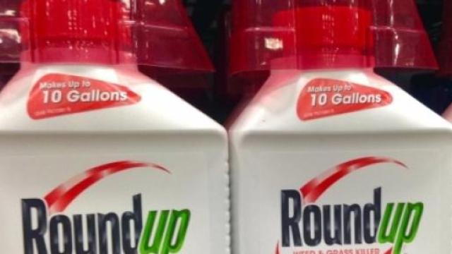 Il ministro francese Royal contro Monsanto