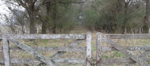 No se puede invertir en producci&oacute;n 