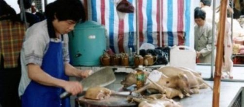 Perros ya cocinados en un puesto de comida.