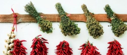 Temperos e ervas deixam a comida mais gostosa