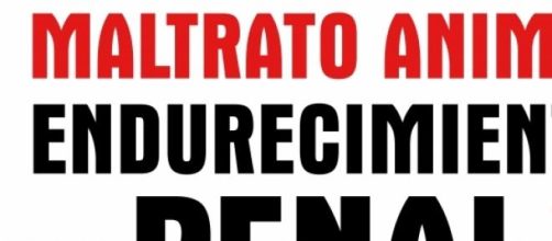 La lucha contra el maltrato animal