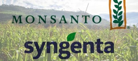 Monsanto quiere apoderarse de Syngenta