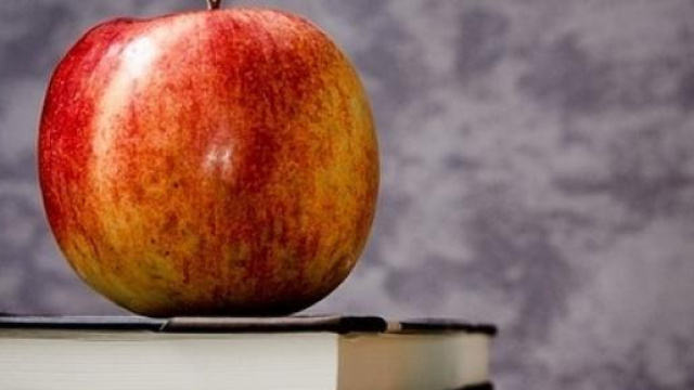 DDL 2015: come cambia la scuola