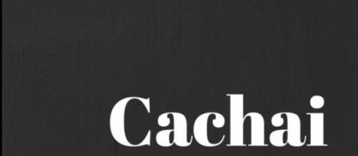 Cachai; modismo t&iacute;pico chileno 