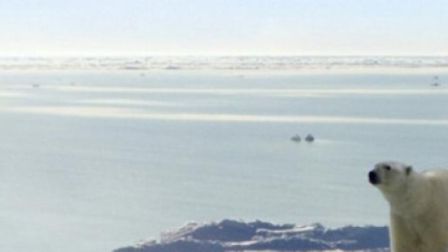 Scioglimento dei ghiacciai