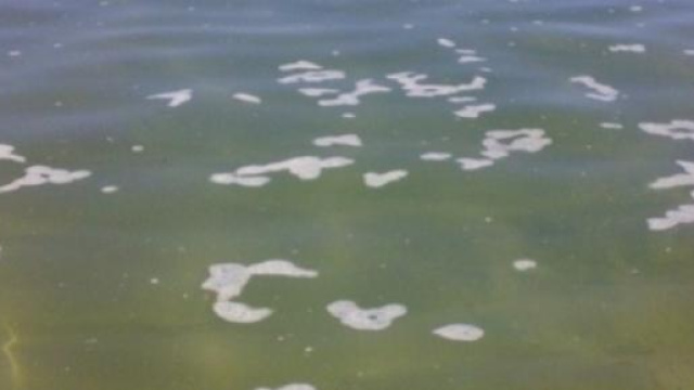 Un classico esempio di mare inquinato