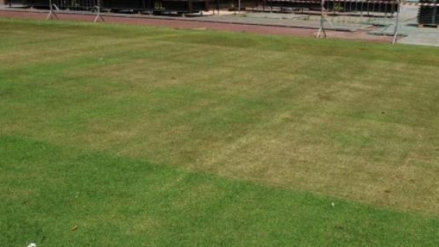 I danni provocati dai pannelli