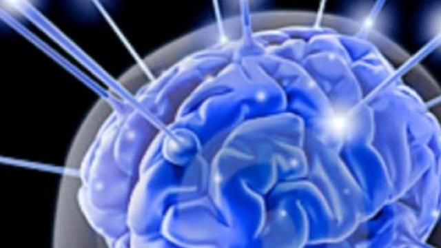 Tumore al cervello, la cura arriva da una pianta  