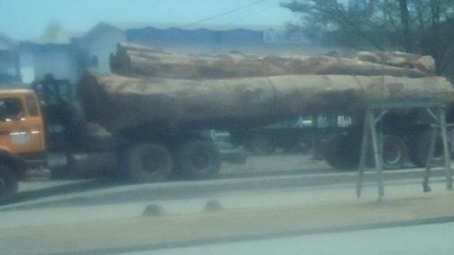 R&eacute;gion du Centre, un grumier en circulation