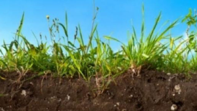 Sfruttare il suolo per ridurre l'effetto serra