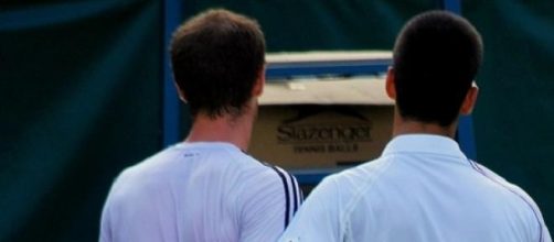 'Back' in another semi: Murray and Djokovic 