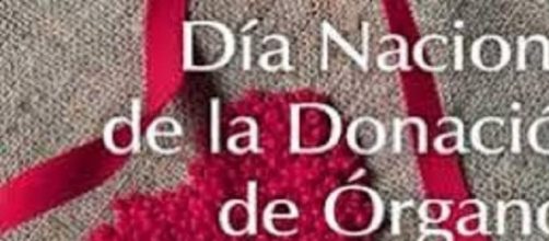 Donaci&oacute;n de &oacute;rganos: Una gran decisi&oacute;n