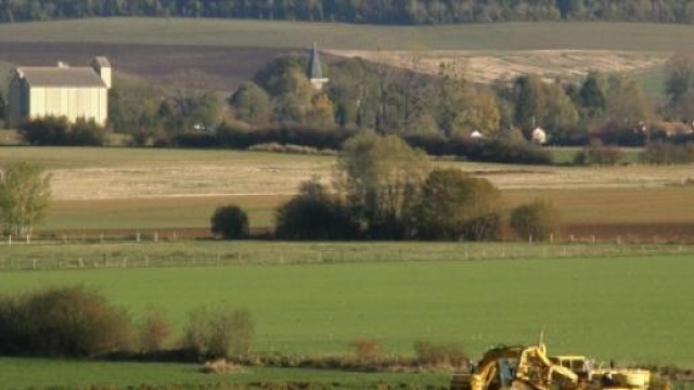 aumenta l'occupazione in agricoltura