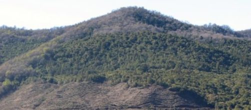 Serran&iacute;a boscosa con zona inferior talada