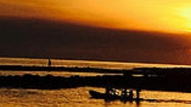 Oroscopo estate 2015: amore ed eros