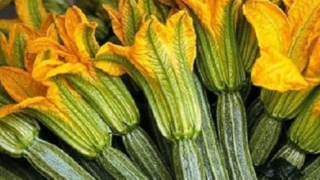 Zucchine: ortaggi gustosi e salutari.