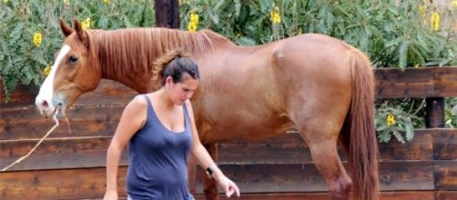 Al caballo nos acercamos sin levantar las manos