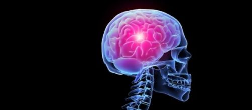 Qu&eacute; hicieron las mujeres con nuestro cerebro