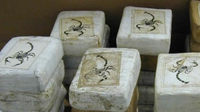 Quintali di cocaina impacchettata