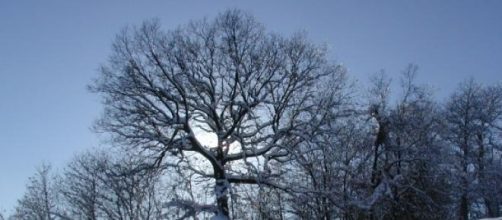 Invernos ser&atilde;o mais rigorosos durante dez anos