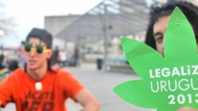Legalizzazione droghe leggere Uruguay