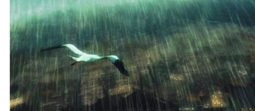 Naturalmente extra&ntilde;o, columna