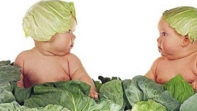 Bambino vegetariano, il desiderio.