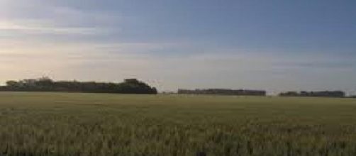 El campo le sigue reclamando al Gobierno