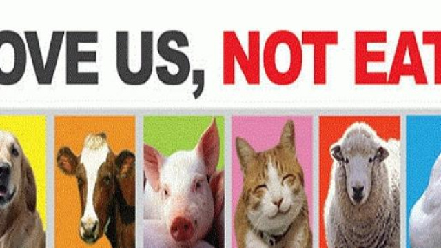 Lettera aperta a vegani e vegetariani