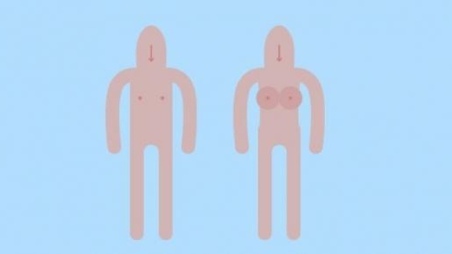 Cosa significa queer? queercultureguide.com