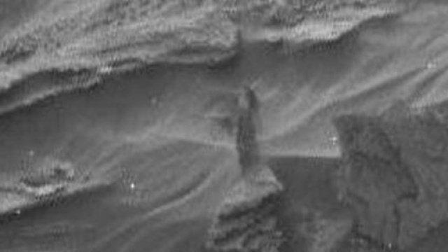 Figura della presunta donna aliena du Marte