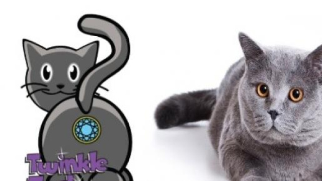 Nuovo accessorio stravagante per felini.