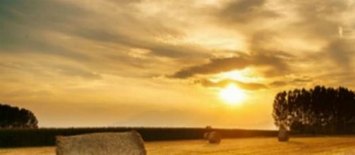 Productores agrarios protegidos por la Naci&oacute;n