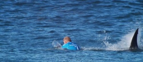 The moment Fanning gets attacked by the shark