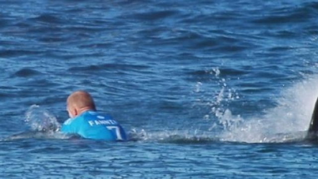 Mick Fanning durante l'attacco dello squalo