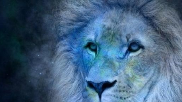 Oroscopo di agosto 2015 Leone