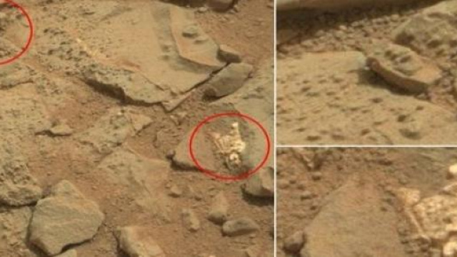 Presunto scheletro alieno scoperto dal Curiosity