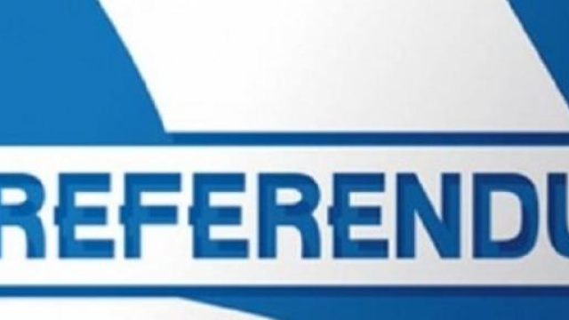 Riforma scuola 2015, referendum