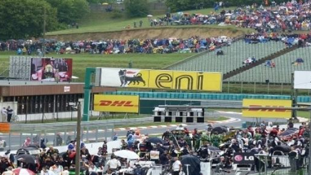 Orari GP Ungheria 2015 F1: sulla Rai la diretta Tv