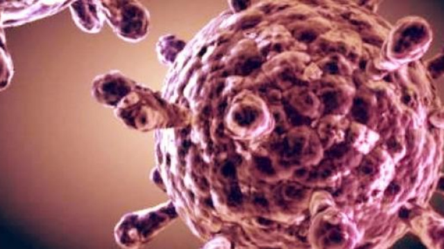 Scoperta nel trattamento dell'Aids