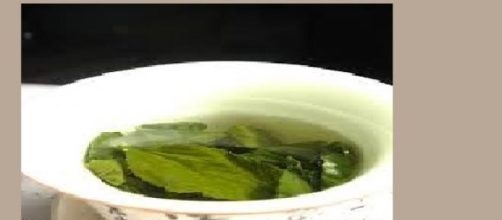 sustancia de t&eacute; verde ayuda en reparaci&oacute;n del ADN